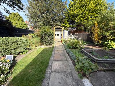 Picture 28